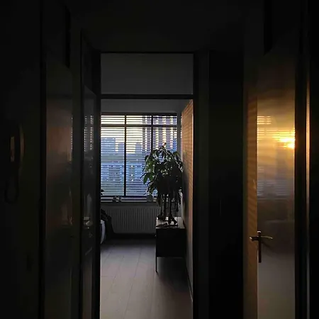 A Cosy Apartment