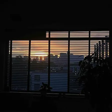 A Cosy Rotterdam